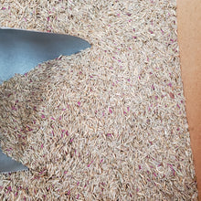 Load image into Gallery viewer, Grass Seed - Turf Genius® Water Saver Mixture