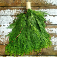 Load image into Gallery viewer, Greens - BC Western Cedar Bough