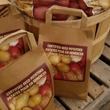 Load image into Gallery viewer, Seed Potato, Certified Organic - Yukon Gold