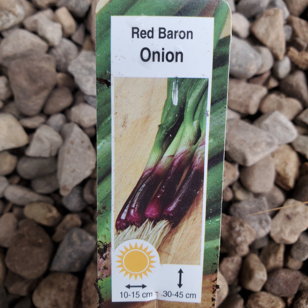 Onions - Red Baron