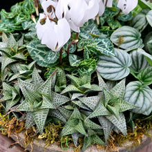 Load image into Gallery viewer, Custom Tabletop Arrangement, Designer's Choice
