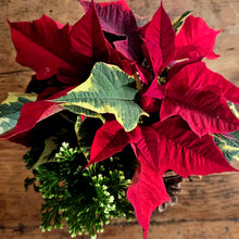 Load image into Gallery viewer, Custom Tabletop Arrangement, Designer's Choice
