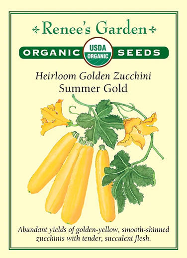Squash Summer Zucchini Summer Gold Organic