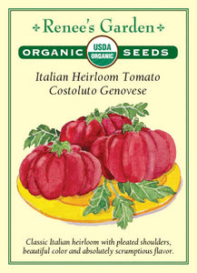 Tomato Costoluto Genovese Organic