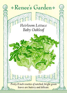 Lettuce Heirloom Baby Oakleaf