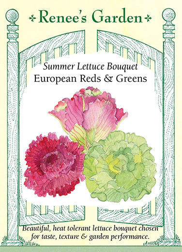 Lettuce Summer Bouquet Trio