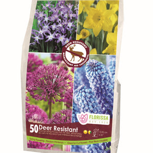 Spring Flowering Bulb - Deer Resistant