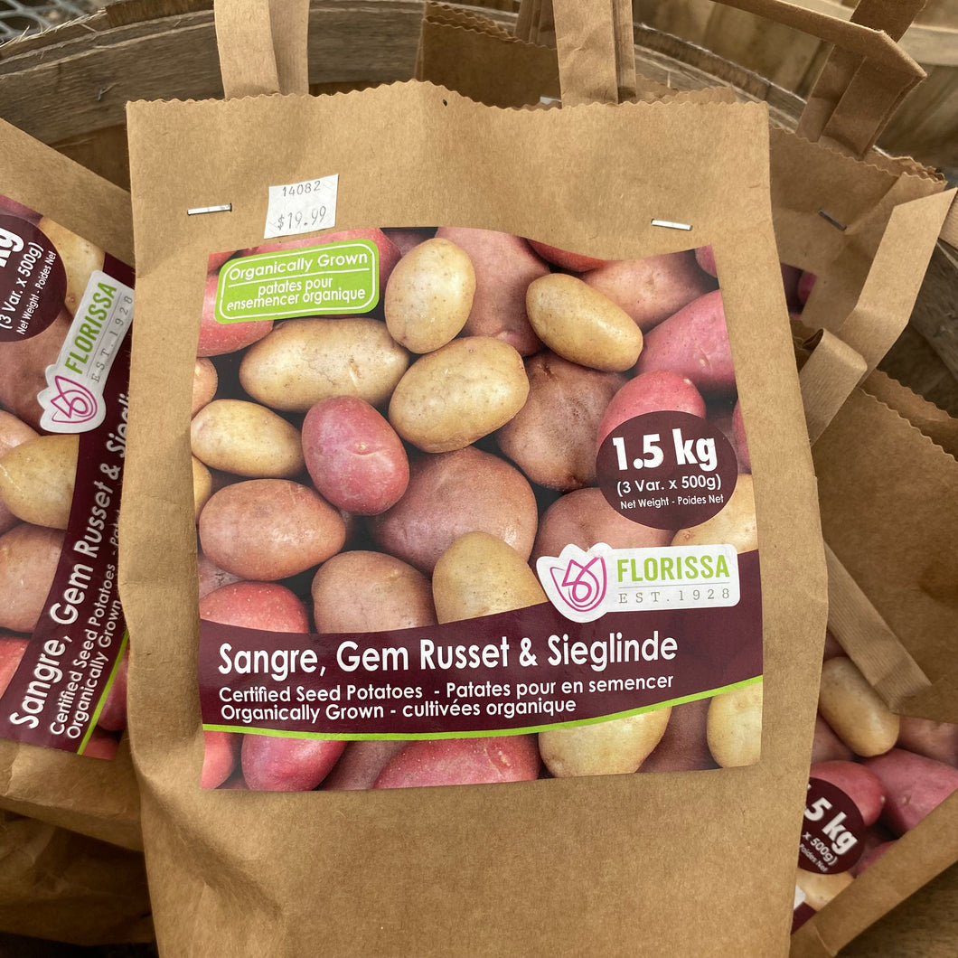 Seed Potato - Certified Organic - Combo Sack - Sangre, Gem Russet & Sieglinde