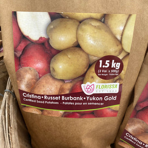 Seed Potato - Combo Sack - Cristina, Russet Burbank & Yukon Gold