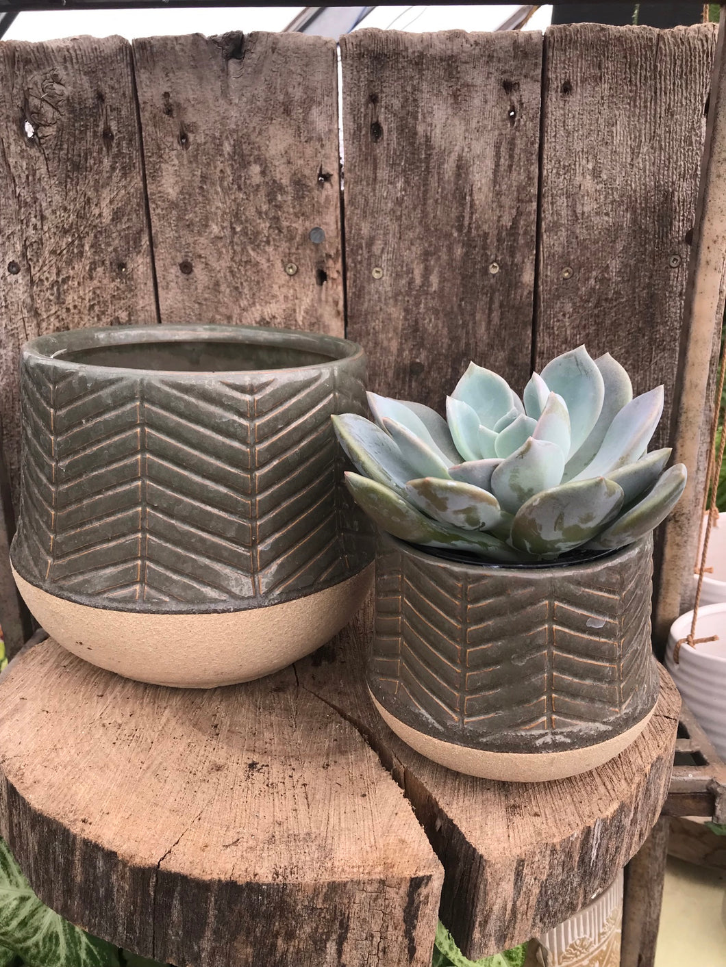 Ceramic Vase - Olive