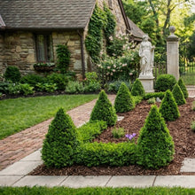 Load image into Gallery viewer, BRN Classic Canadian Pine Mulch Delivered
