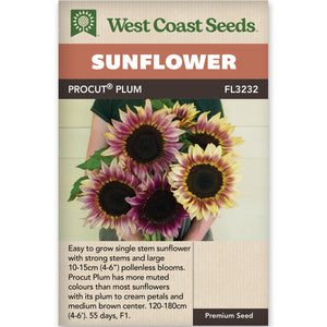 Sunflower Procut Plum