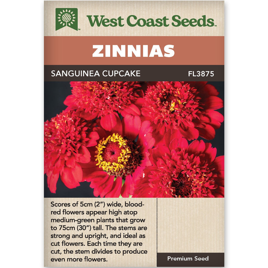 Zinnia Sanguinea Cupcake