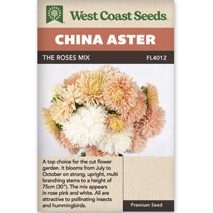 China Aster The Roses Mix