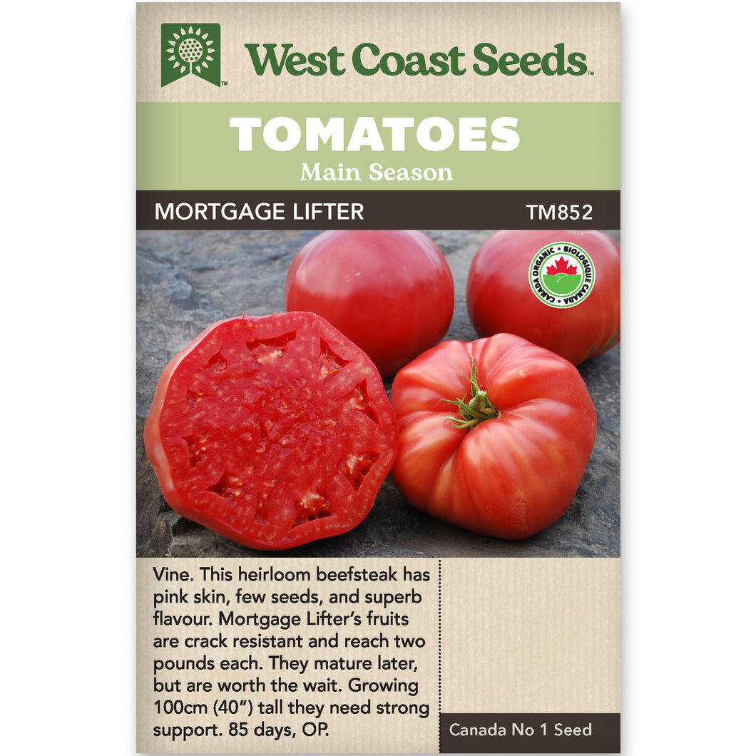 Tomato Mortgage Lifter - Certified Organic