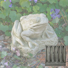 Load image into Gallery viewer, Frog, Forest Frog
