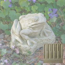 Load image into Gallery viewer, Frog, Forest Frog
