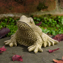 Load image into Gallery viewer, Toad, Tommy Toad
