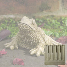 Load image into Gallery viewer, Toad, Tommy Toad
