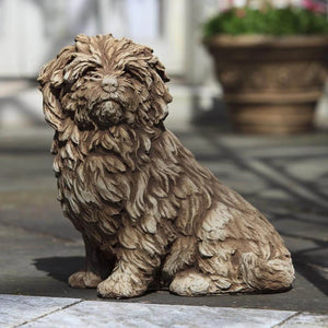 Dog, Fluffy Dog