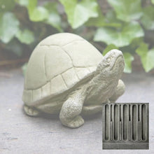 Load image into Gallery viewer, Turtle, Box Turtle
