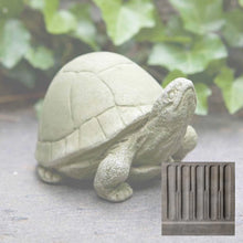 Load image into Gallery viewer, Turtle, Box Turtle
