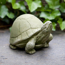 Load image into Gallery viewer, Turtle, Box Turtle
