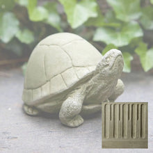 Load image into Gallery viewer, Turtle, Box Turtle
