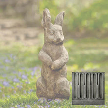 Load image into Gallery viewer, Bunny, Father Rabbit
