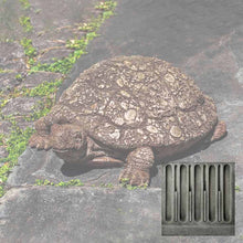 Load image into Gallery viewer, Turtle, Ole Crusty
