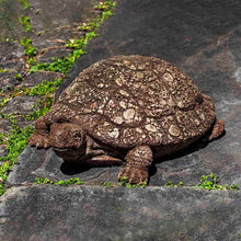 Load image into Gallery viewer, Turtle, Ole Crusty
