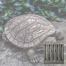 Load image into Gallery viewer, Turtle, Shelby
