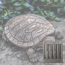 Load image into Gallery viewer, Turtle, Shelby
