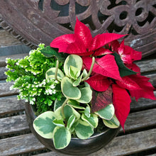 Load image into Gallery viewer, Custom Tabletop Arrangement, Designer's Choice
