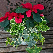 Load image into Gallery viewer, Custom Tabletop Arrangement, Designer's Choice
