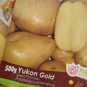 Seed Potato - Certified Organic - Yukon Gold