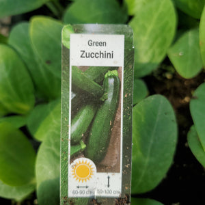 Zucchini, Green