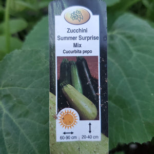 Zucchini - Summer Mix