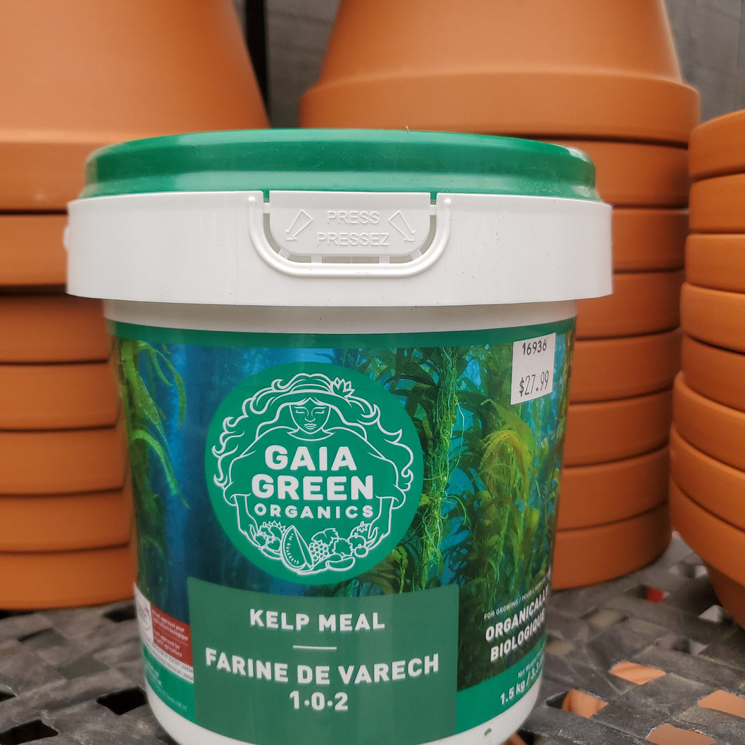 Gaia Green Organics Kelp Meal 1-0-2