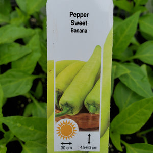Pepper, Sweet - Sweet Banana