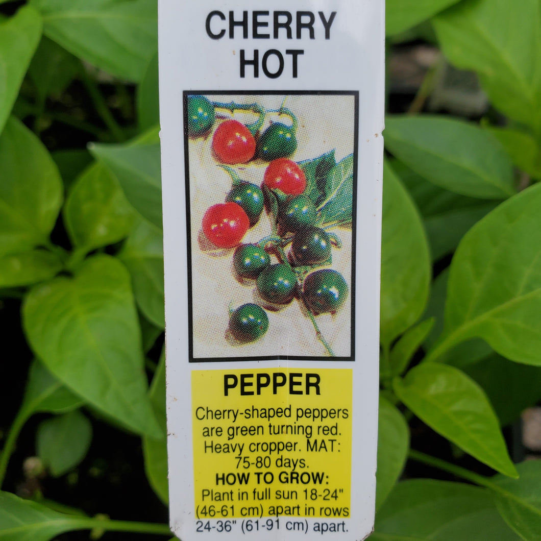 Pepper, Hot - Cherry Hot