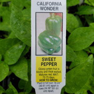 Pepper, Sweet - California Wonder