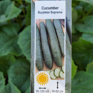Cucumber - Burpless Supreme