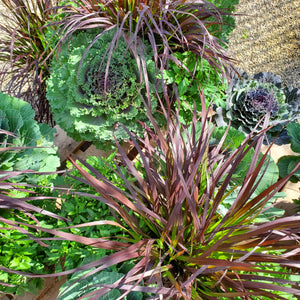 Mixed Fall Planter