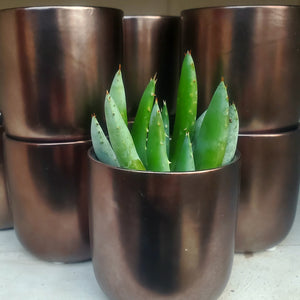 Chocolate-Charcoal Ceramic Pot Cover + Vase