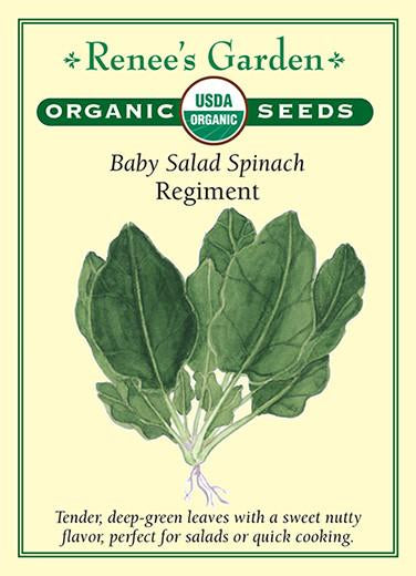 Spinach Baby Leaf Regiment Organic