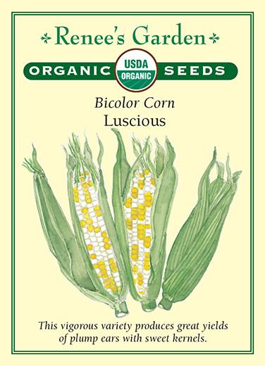 Corn Bi-Color Luscious Organic