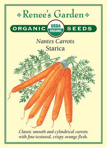 Carrot  Nantes Starica Organic