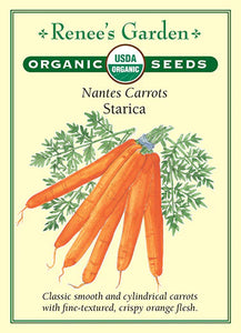 Carrot Starica Organic