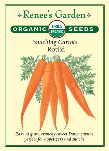 Carrot Snacking Rotild Organic